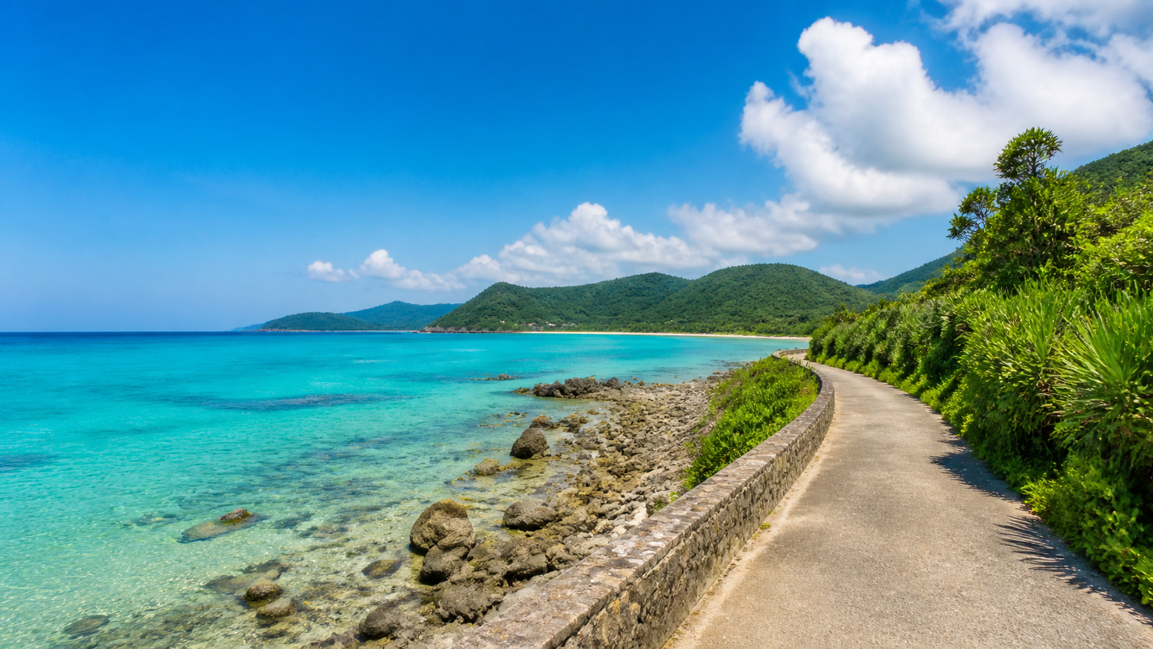 奄美の海岸のイメージ写真（差し替え予定）